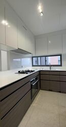 Parc Botannia (D28), Condominium #609567401